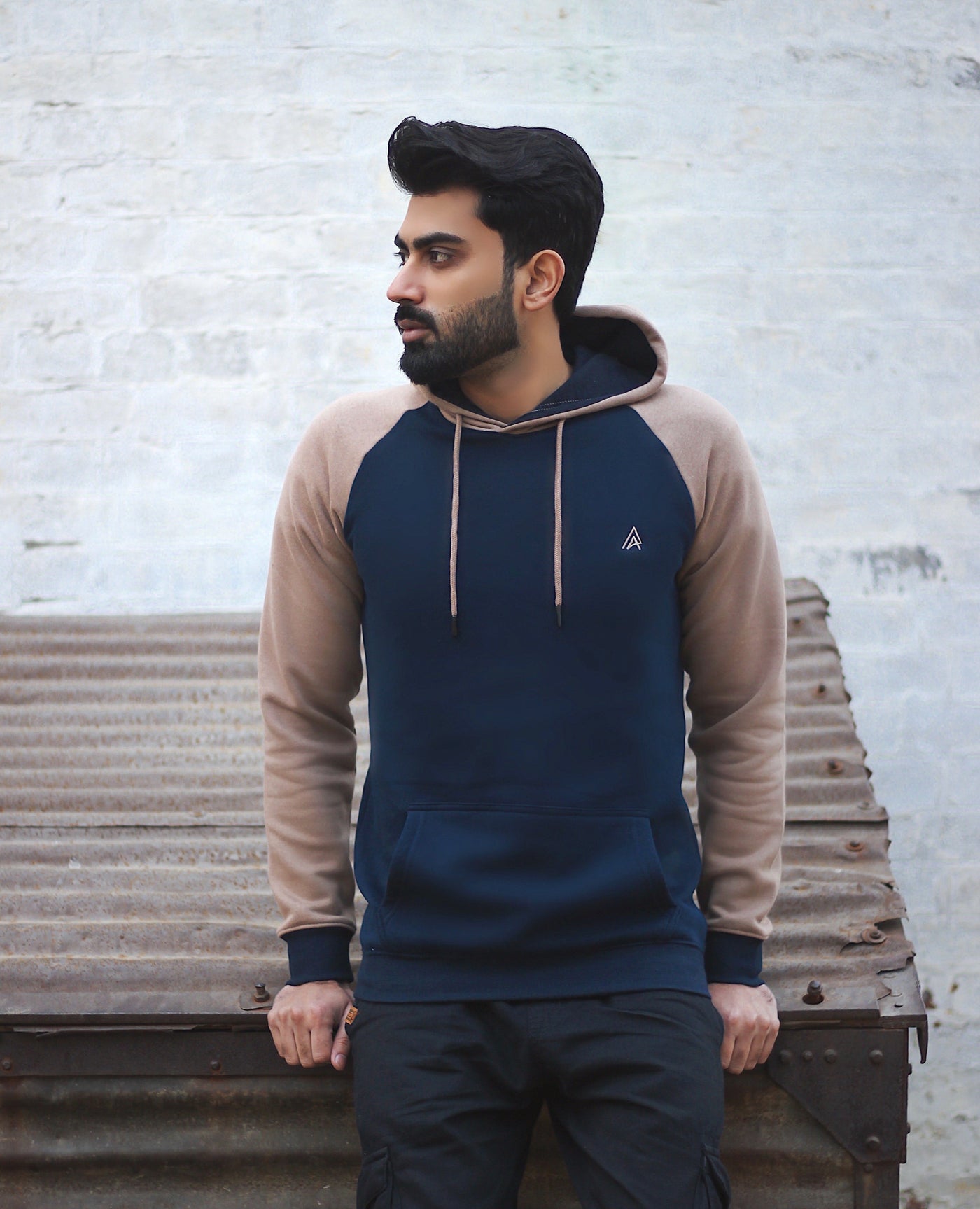 Deep Navy with Silk Arms Contrast Hoodie